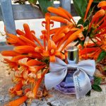 عطر ادکلن مادمازل لو تری بل آزارو - Mademoiselle L’Eau Très Belle Azzaro - بررسی، قیمت و خرید