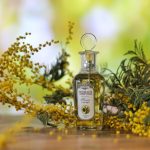 عطر ادکلن تولپان ای میموزا بروکارد - Тюльпан и мимоза - Tulip and Mimosa Brocard - بررسی، قیمت و خرید