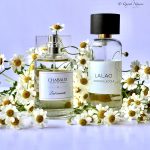 عطر ادکلن لِ کُنسِنتِره شابو - Lait Concentré Chabaud Maison de Parfum - بررسی، قیمت و خرید