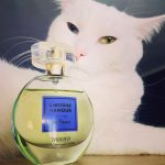 عطر ادکلن له رِوِر بروکارد - Les Reveurs Brocard - بررسی، قیمت و خرید