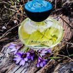 عطر ادکلن وود آو لایف انیما وینچی - Wood Of Life Anima Vinci - بررسی، قیمت و خرید