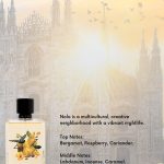 عطر ادکلن نولو آلفرد ریچی - Nolo Alfred Ritchy - بررسی، قیمت و خرید