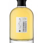 عطر ادکلن پاچولی پی دو کاشمیر بینت پاپیون - Patchouli P II Cachemire Binet-Papillon - بررسی، قیمت و خرید