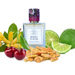 عطر ادکلن بنژوان ان فلور کلاودیو زوکا پرفیومز - Benjoin en Fleur Claudio Zucca Parfums - بررسی، قیمت و خرید