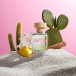 عطر ادکلن یونایتد دریمز گرین کاکتوس فور هر بنتون - United Dreams Green Cactus For Her Benetton - بررسی، قیمت و خرید