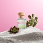 عطر ادکلن یونایتد دریمز گرین کاکتوس فور هر بنتون - United Dreams Green Cactus For Her Benetton - بررسی، قیمت و خرید