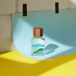 عطر ادکلن یونایتد دریمز گرین کاکتوس فور هیم بنتون - United Dreams Green Cactus For Him Benetton - بررسی، قیمت و خرید
