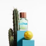 عطر ادکلن یونایتد دریمز گرین کاکتوس فور هیم بنتون - United Dreams Green Cactus For Him Benetton - بررسی، قیمت و خرید