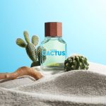 عطر ادکلن یونایتد دریمز گرین کاکتوس فور هیم بنتون - United Dreams Green Cactus For Him Benetton - بررسی، قیمت و خرید