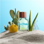 عطر ادکلن یونایتد دریمز گرین کاکتوس فور هیم بنتون - United Dreams Green Cactus For Him Benetton - بررسی، قیمت و خرید