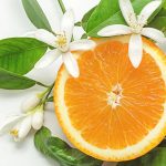 عطر ادکلن نوکس د نرولا بریکورت - Noces de Nerola Brecourt - بررسی، قیمت و خرید