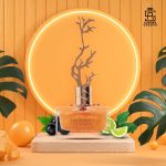 عطر ادکلن دیسیجوس سامر اورورا سنتس - Deciduous Summer Aurora Scents - بررسی، قیمت و خرید