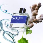 عطر ادکلن هشتصد و سه سی اسپری، جینجر، پچولی بون پرفیومر - 803 sea spray, ginger, patchouli Bon Parfumeur - بررسی، قیمت و خرید