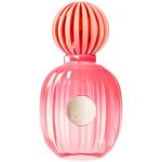 عطر ادکلن د آیکان اسپلندید آنتونیو باندراس - The Icon Splendid Antonio Banderas - بررسی، قیمت و خرید