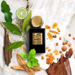 عطر ادکلن زَندِر کیو - Xander Cave - بررسی، قیمت و خرید