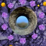 عطر ادکلن کرون آف وایولتس اند فرگرنسز - Crown Of Violets ånd fragrances - بررسی، قیمت و خرید