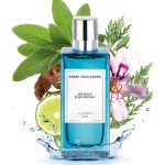 عطر ادکلن آروماتیک سیج انجل لسسر - Aromatic Sage Angel Schlesser - بررسی، قیمت و خرید