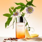 عطر ادکلن هپی این پردایس کلینیک - Happy in Paradise Clinique - بررسی، قیمت و خرید