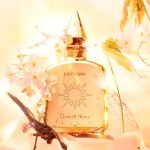 عطر ادکلن جویفوریا شارلوت تیلبری - Joyphoria Charlotte Tilbury - بررسی، قیمت و خرید
