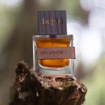 عطر ادکلن آلتروئیسم بدر - altruisme ba[dr] - بررسی، قیمت و خرید