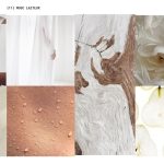 عطر ادکلن ماسک لایتوکس آلکمیست فراگرنس - {11} Musc Laiteux Alchemist Fragrance - بررسی، قیمت و خرید