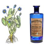 عطر ادکلن سکر بلو افتلیه - Sacré Bleu Aftelier - بررسی، قیمت و خرید
