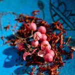 عطر ادکلن نوماد لومیر د ایژیپت کلوئه - Nomade Lumiere d'Egypte Chloé - بررسی، قیمت و خرید