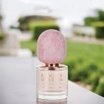 عطر ادکلن چَتو ویزکایا بجلی میشکا - Château Vizcaya Badgley Mischka - بررسی، قیمت و خرید