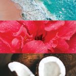عطر ادکلن چَتو ویزکایا بجلی میشکا - Château Vizcaya Badgley Mischka - بررسی، قیمت و خرید