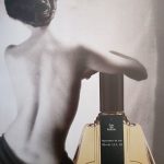 عطر ادکلن آنا سالازار آنا سلازار - Ana Salazar Ana Salazar - بررسی، قیمت و خرید