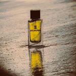 عطر ادکلن سی سیمفنی آیلی روما - Sea Symphony Ayliroma - بررسی، قیمت و خرید