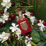 عطر ادکلن آن‌سنسورد چری آنتونیو مارتی - Uncensored Cherry Antonio Maretti - بررسی، قیمت و خرید