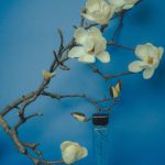 عطر ادکلن ماگنولیا د بلو آروماگ یولانگ - Magnolia de Bleu 青水木兰 aromag 岩兰 - بررسی، قیمت و خرید