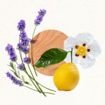 عطر ادکلن مود فور کالرز من آنیایک - Mood For Colors Man Annayake - بررسی، قیمت و خرید