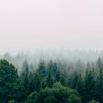 عطر ادکلن بریت اکرو - Breathe Akro - بررسی، قیمت و خرید
