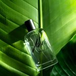 عطر ادکلن بریت اکرو - Breathe Akro - بررسی، قیمت و خرید
