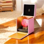 عطر ادکلن چری این د وودز آرورا سنتس - Cherry in The Woods Aurora Scents - بررسی، قیمت و خرید