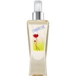 عطر ادکلن کانتری چیک بث اند بادی ورکز - Country Chic Bath & Body Works - بررسی، قیمت و خرید