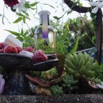 عطر ادکلن سوار انسللیه‌ بیسومین - Soir Ensoleille Bissoumine - بررسی، قیمت و خرید