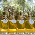 عطر ادکلن نو فایو میدنایت پلاس سوییم کرو - No. 5 Midnight + Swim Crow - بررسی، قیمت و خرید
