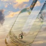 عطر ادکلن اون آنژ پَس بیسومین - Un Ange Passe Bissoumine - بررسی، قیمت و خرید