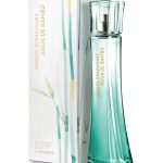 عطر ادکلن آگوا د بمبو آدولفو دومینگز - Agua de Bambu Adolfo Dominguez - بررسی، قیمت و خرید