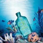 عطر ادکلن سی کی وان سامر دو هزار و سیزده کلوین کلاین - CK One Summer 2013 Calvin Klein - بررسی، قیمت و خرید