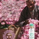 عطر ادکلن ولوبیلیس ادو پرفیوم برو نو آکامپورا - Volubilis – Eau de Parfum Bruno Acampora - بررسی، قیمت و خرید