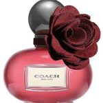 عطر ادکلن پاپی وایلد فلاور کُوچ - Poppy Wild Flower Coach - بررسی، قیمت و خرید