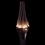 عطر ادکلن سیلوئت کریستین سیریانو - Silhouette Christian Siriano - بررسی، قیمت و خرید