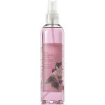 عطر ادکلن بلک رزبری وانیلا بَث اند بادی وُرکس - Black Raspberry Vanilla Bath & Body Works - بررسی، قیمت و خرید