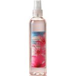 عطر ادکلن بلاشینگ چری بلاسم بث اند بادی ورکس - Blushing Cherry Blossom Bath & Body Works - بررسی، قیمت و خرید