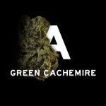 عطر ادکلن اِ گرین کَشْمِر بلاد کنسپت - A Green Cachemire Blood Concept - بررسی، قیمت و خرید