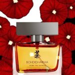 عطر ادکلن بلک اورنج پکو بودیدهارما - Black Orange Pekoe Bohdidharma - بررسی، قیمت و خرید